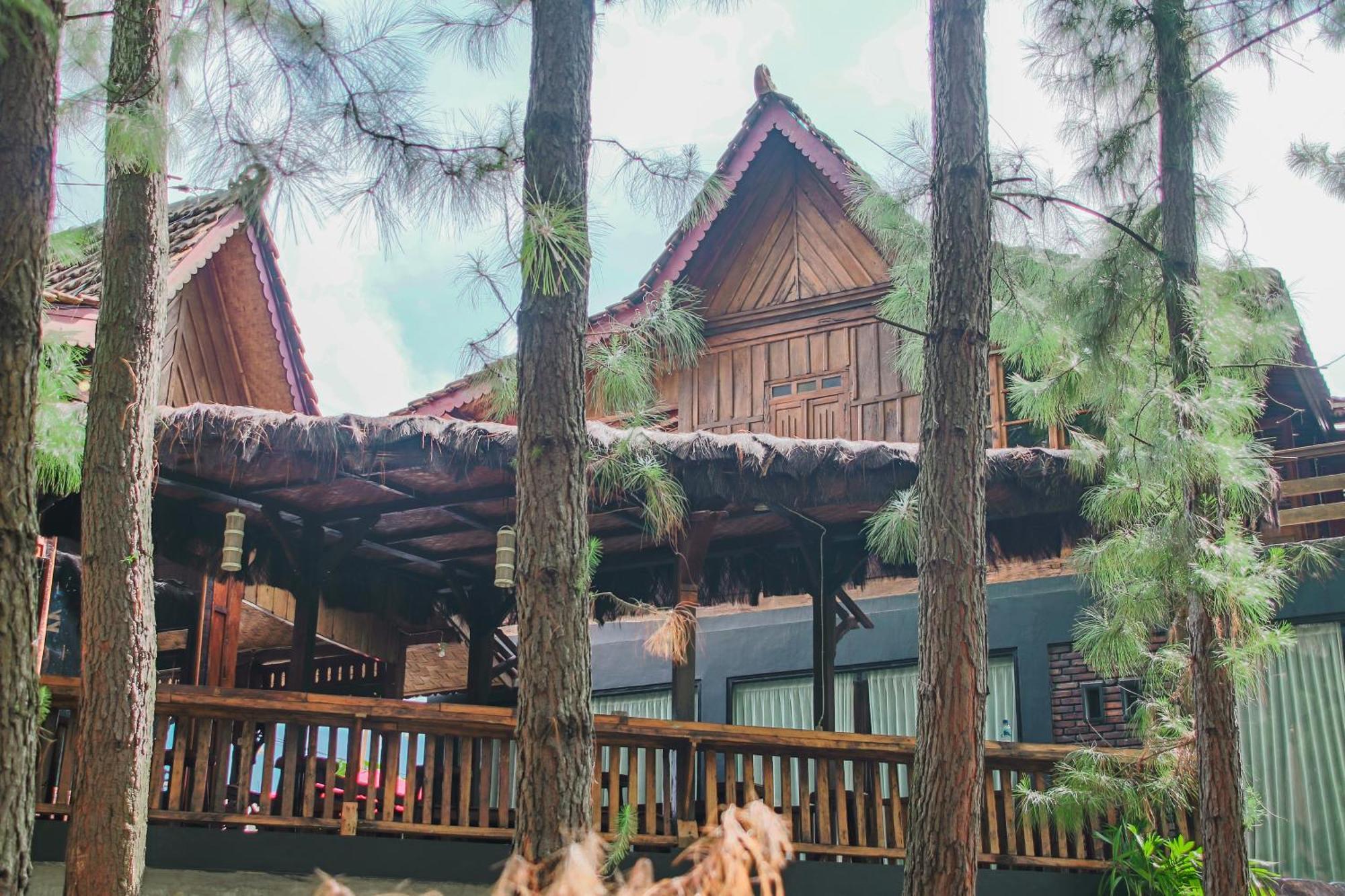 Omah Kayu Bromo Villa Ngadisari Eksteriør billede